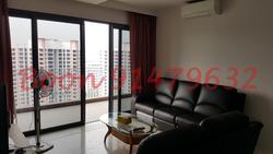 The Lakefront Residences (D22), Condominium #91597282